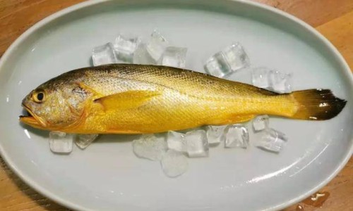 黄花菜的营养成分-【黄花菜营养价值及功效与作用】黄花菜营养特点介绍 - 黄花菜营养特点网